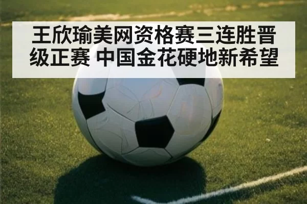 王欣瑜美网资格赛三连胜晋级正赛 中国金花硬地新希望